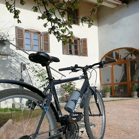 Maison Du Figuier