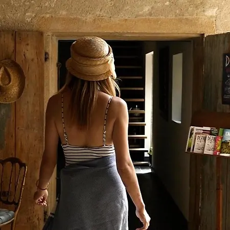 Maison Du Figuier 3* Lancié