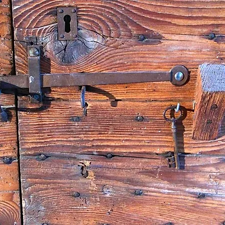 Maison Du Figuier Lancié