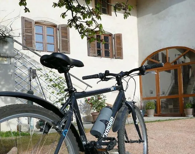 Maison Du Figuier